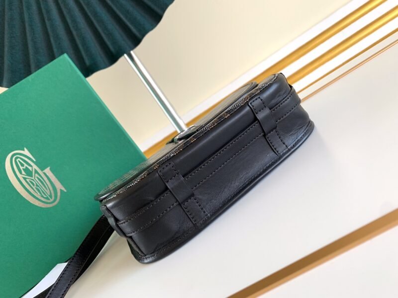 20191114_i1573729305_3456_4-1-1 Replica Goyard Belvedere Black - 图片 5