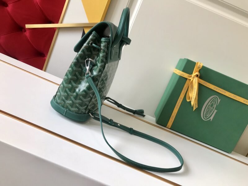 20200527_i1590515658_8238_3 Replica Goyard Alpi Mini Backpack Green - 图片 4