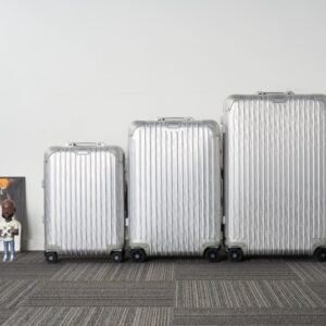 Elementor 页面 #30068 Replica Rimowa & Dior Suitcase Silver