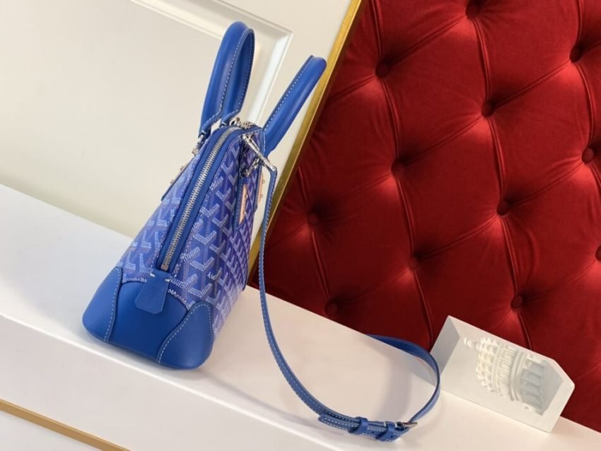 20210125_i1611547183_619_1 Replica Goyard Vendom Blue - 图片 2