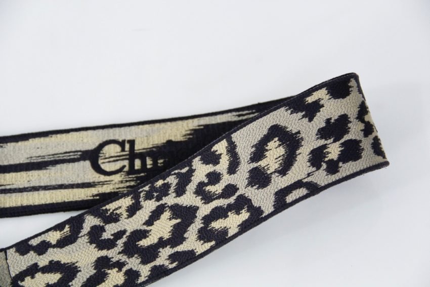 20210709_i1625819588_6023_1 Replica Dior Adjustable Shoulder Strap Leo - 图片 9