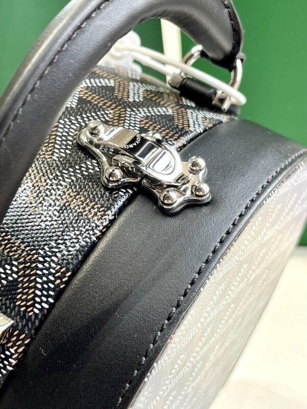 20210713_i1626176631_7204_2 Replica Goyard Alto Box Black - 图片 7