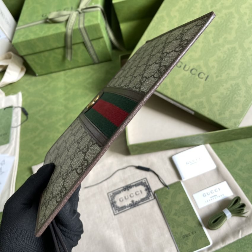 20211018_i1634567088_3581_2-1-1 Replica Gucci Ophidia Web Clutch - 图片 6