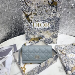 Elementor 页面 #30068 Replica Dior Miss Caro Pouch Sky Blue