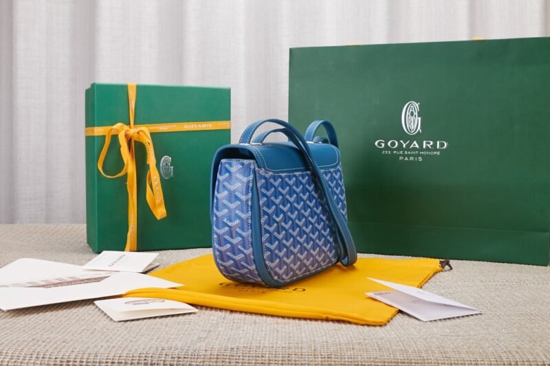 20220223_a1645625094140_0375 Replica Goyard 233 Bag Blue - 图片 3