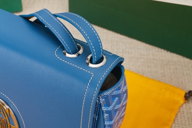 20220223_a1645625094750_1752 Replica Goyard 233 Bag Blue - 图片 8