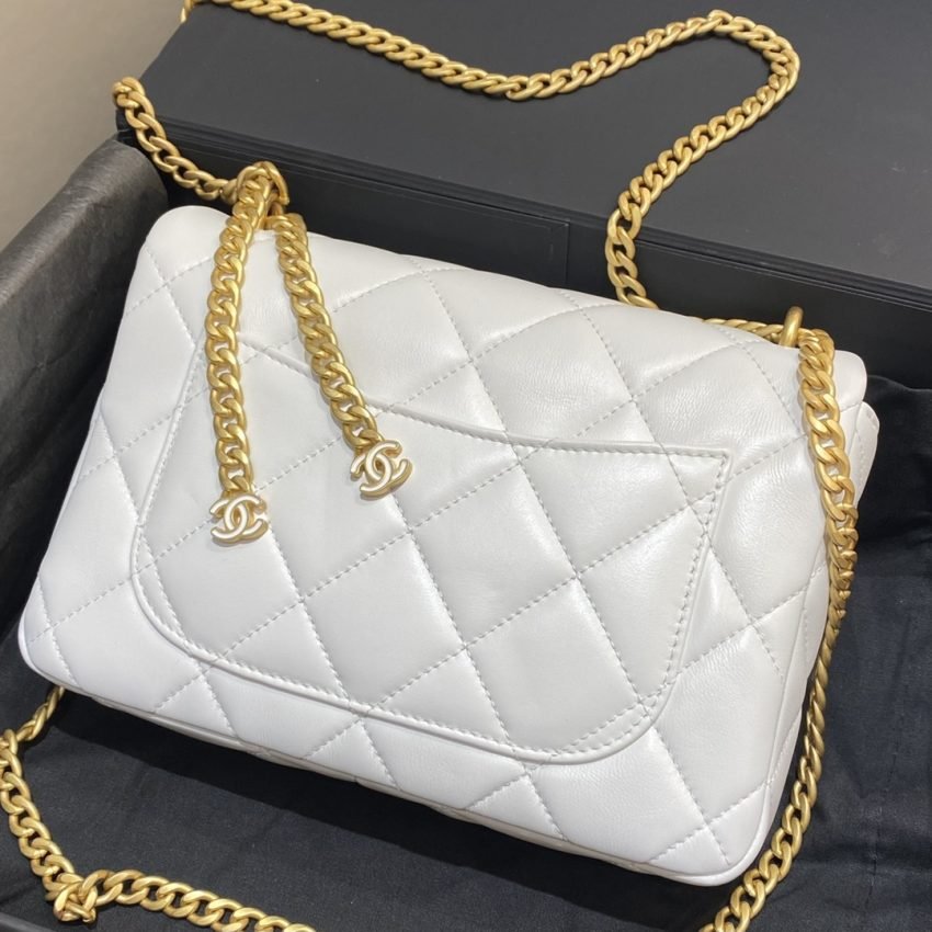 20220701_i1656685378_4481_1-1-1 Replica CHANEL 22P Enamel Bag White - 图片 5