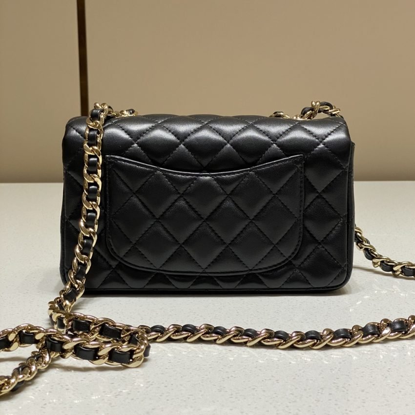 20220816_i1660660896_3717_1 Replica CHANEL Classic Flap 20cm Lion - 图片 3