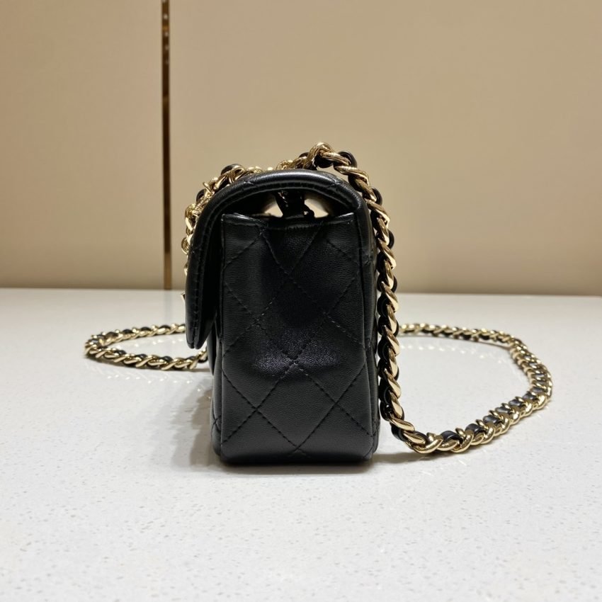 20220816_i1660660896_7884_3 Replica CHANEL Classic Flap 20cm Lion - 图片 4