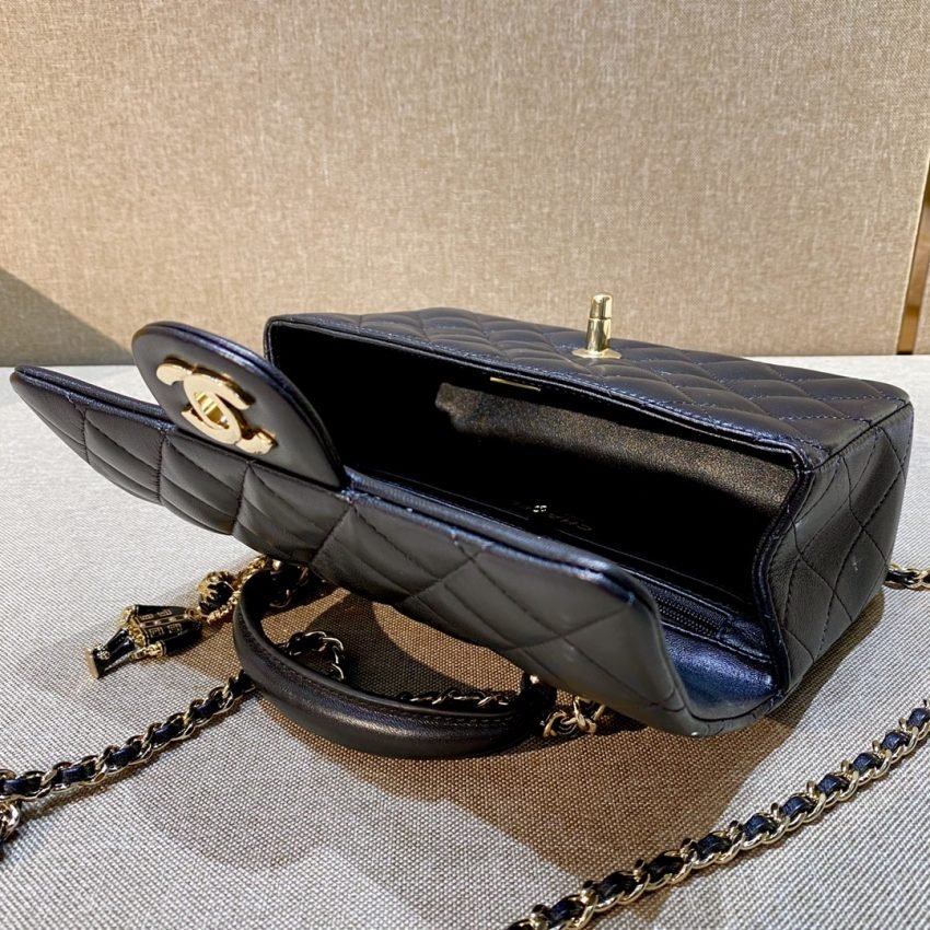 20220820_i1661005909_3133_8 Replica CHANEL Classic Flap 20cm Lion - 图片 5