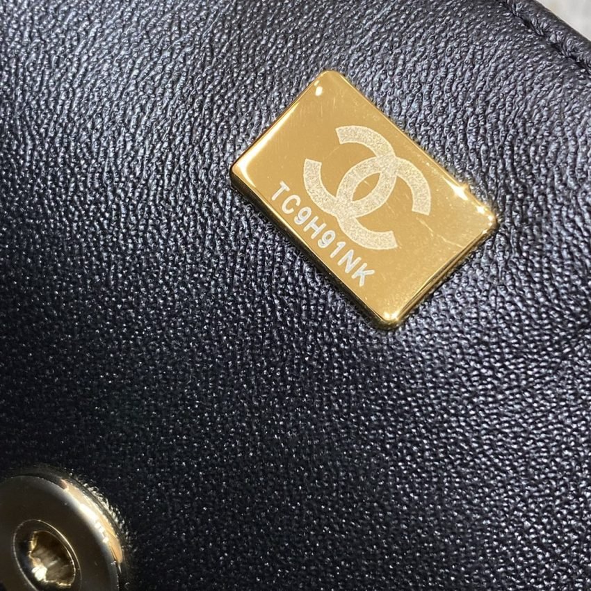 20220820_i1661005909_4589_6 Replica CHANEL Classic Flap 20cm Lion - 图片 6
