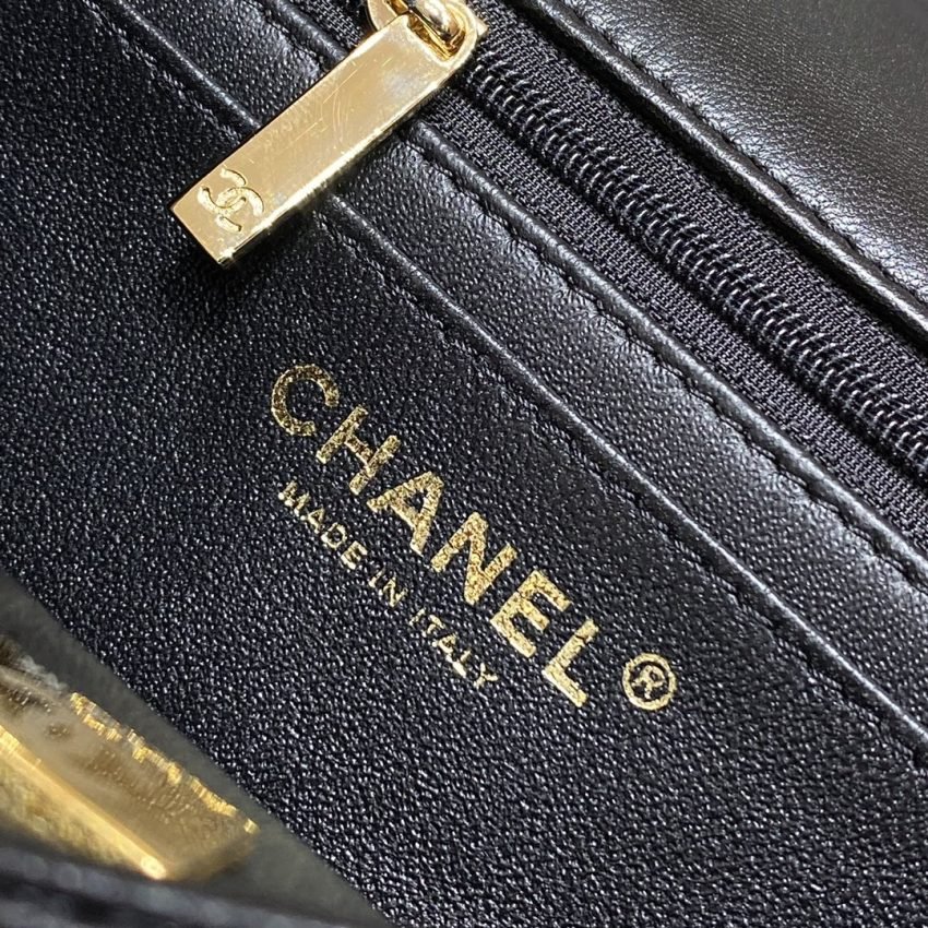 20220820_i1661005909_4600_7 Replica CHANEL Classic Flap 20cm Lion - 图片 7