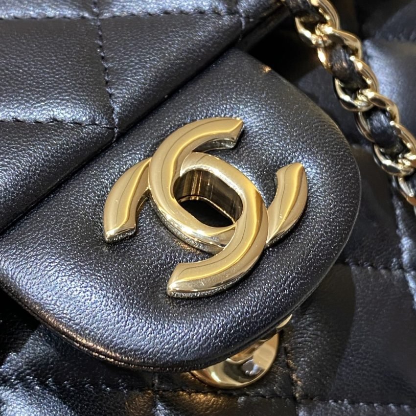 20220820_i1661005909_5780_4 Replica CHANEL Classic Flap 20cm Lion - 图片 8