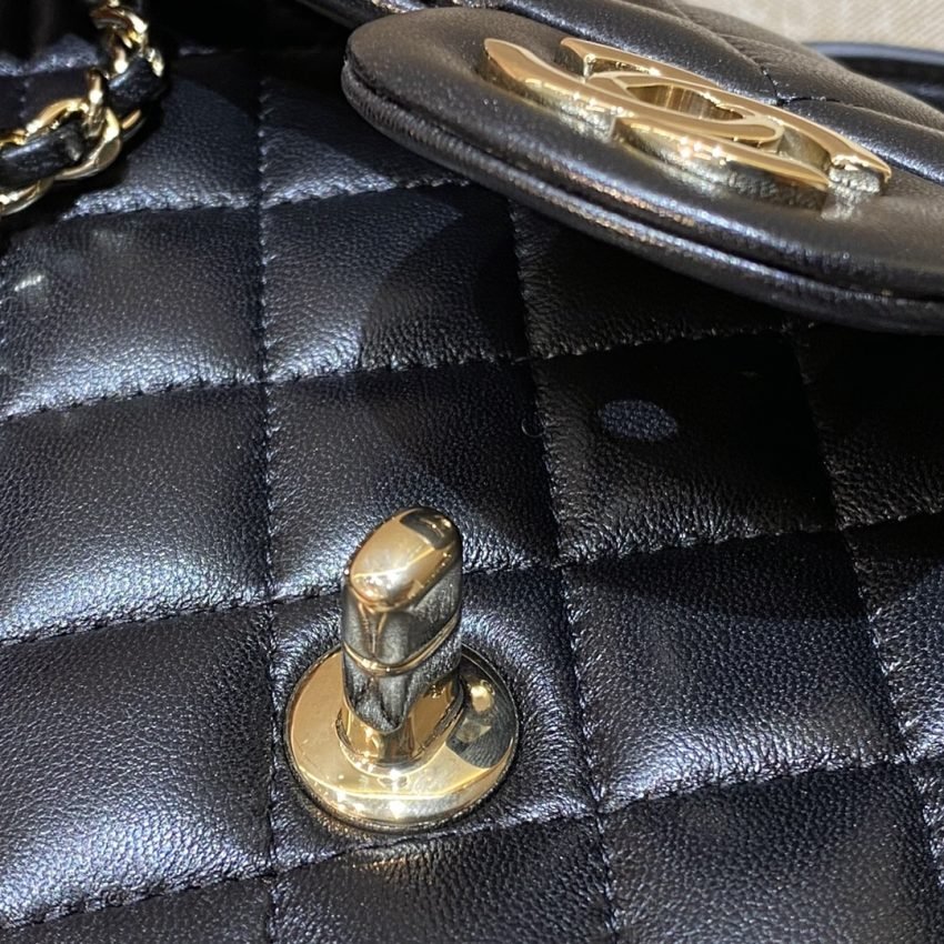 20220820_i1661005909_6471_5 Replica CHANEL Classic Flap 20cm Lion - 图片 10