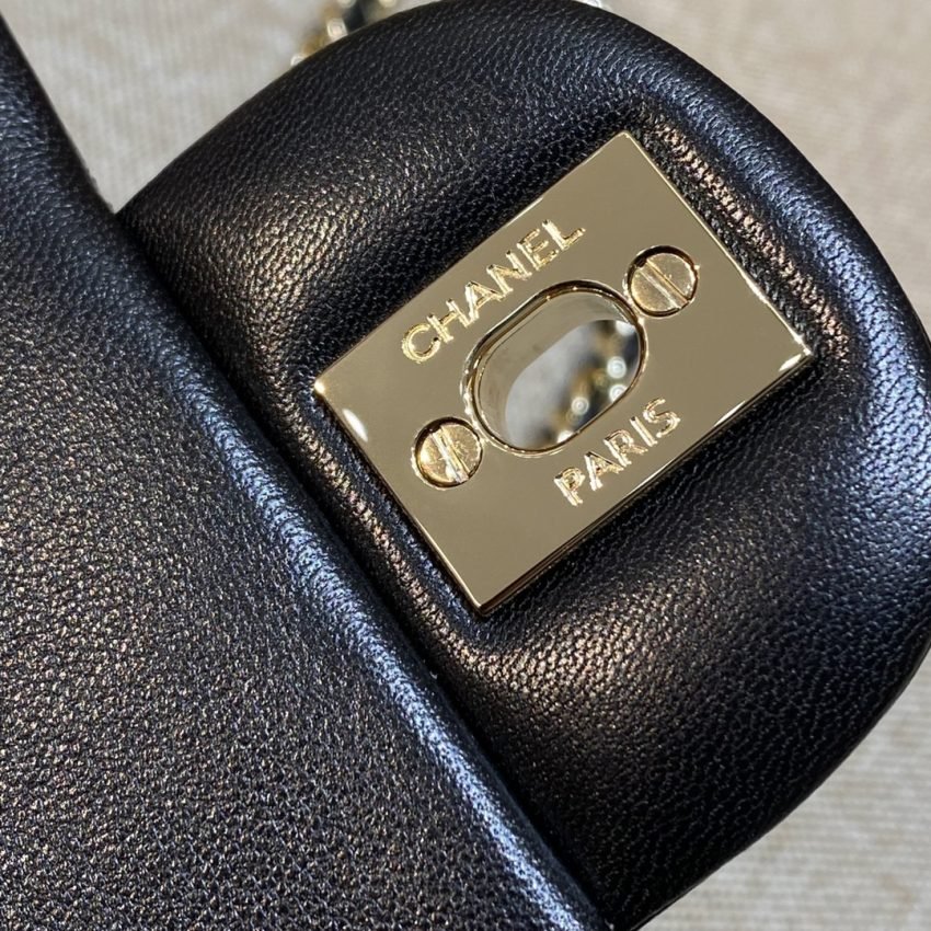 20220820_i1661005909_8864_1 Replica CHANEL Classic Flap 20cm Lion - 图片 12