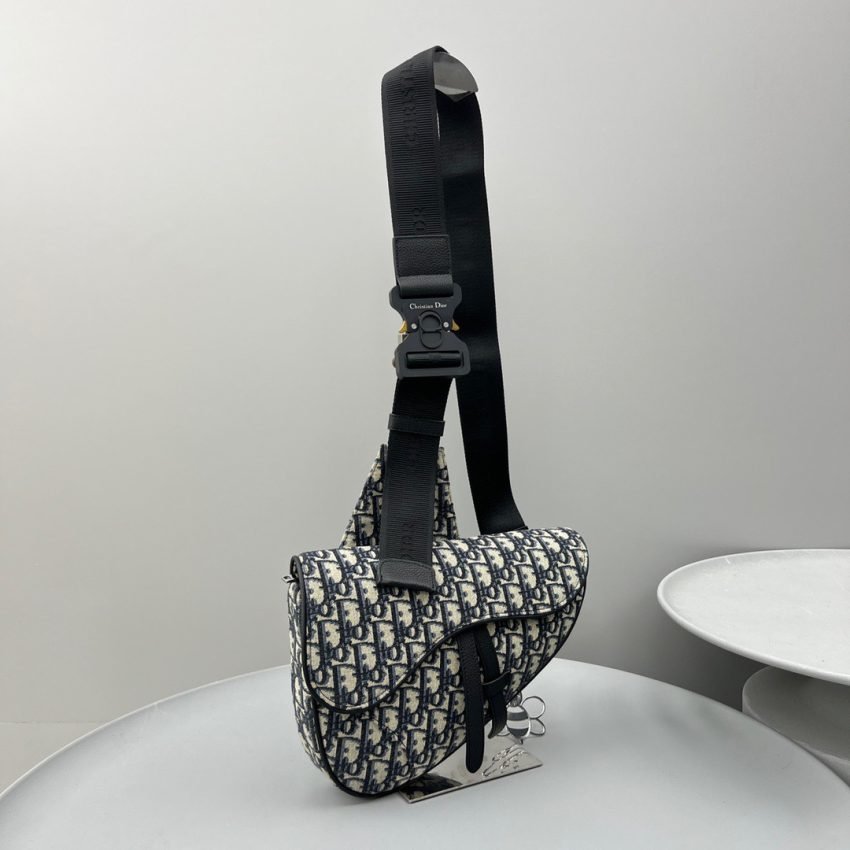 20220911_i1662869522_5209_1 Replica Dior Saddle Bag Oblique - 图片 2