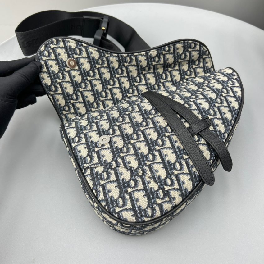 20220911_i1662869522_7583_4 Replica Dior Saddle Bag Oblique - 图片 8