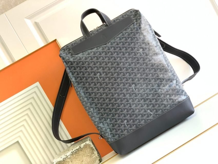 20221028_a1666932003003_5636 Replica Goyard Cisalpin Backpack Black