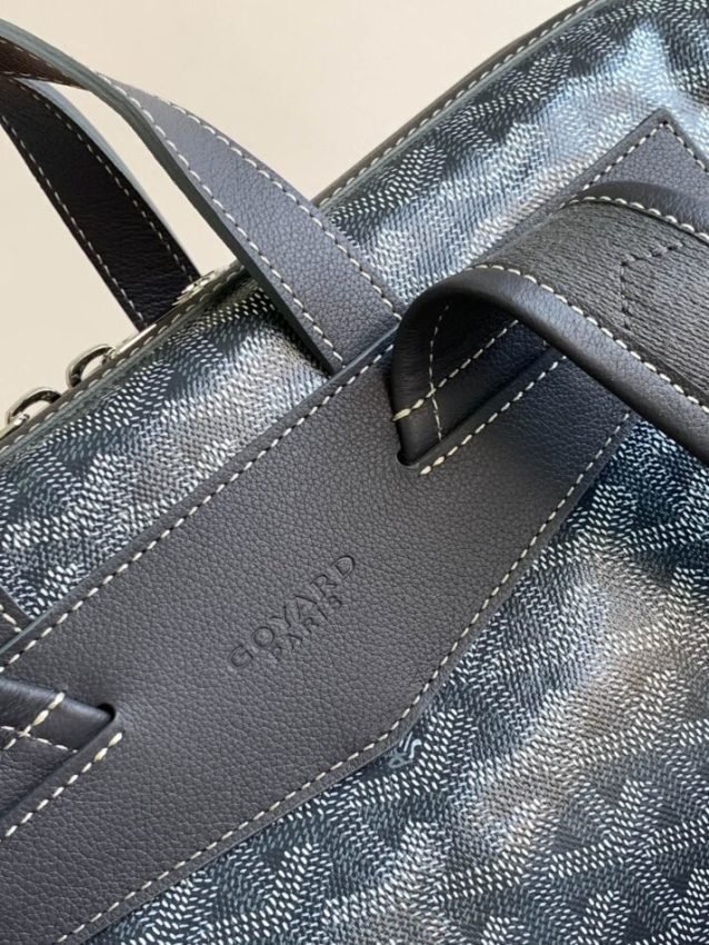 20221028_a1666932003376_7036 Replica Goyard Cisalpin Backpack Black - 图片 6