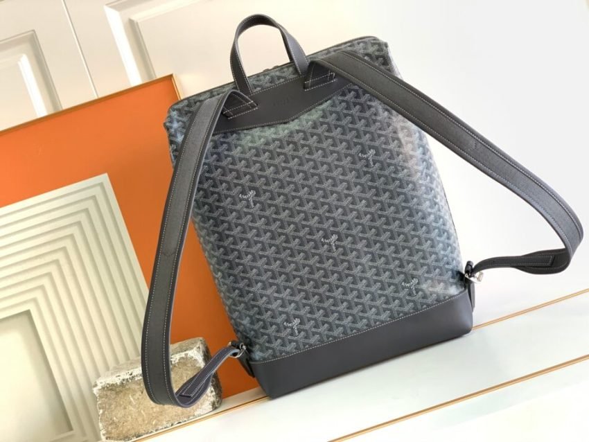 20221028_a1666932003858_0212 Replica Goyard Cisalpin Backpack Black - 图片 2