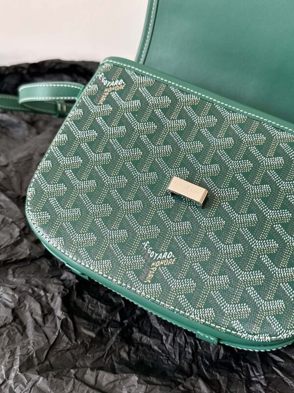 20221129_i1669705315_9691_4 Replica Goyard Belvedere Green - 图片 9