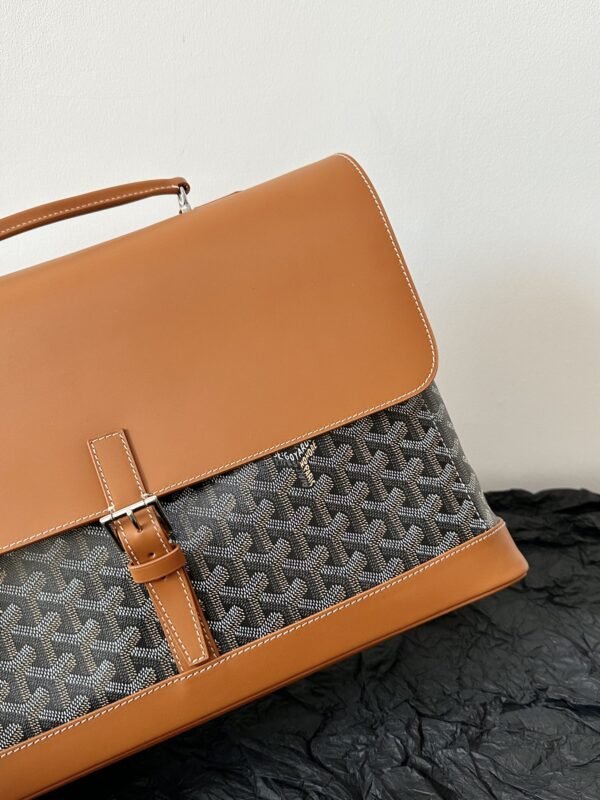 20221207_i1670395421_852_3 Replica Goyard Citadin Brown - 图片 2