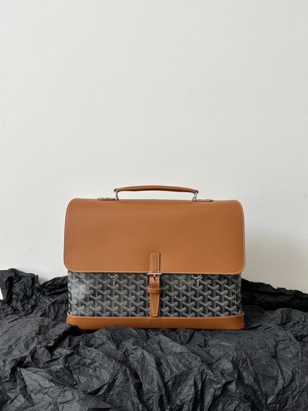 20221207_i1670395421_9079_1 Replica Goyard Citadin Brown - 图片 6