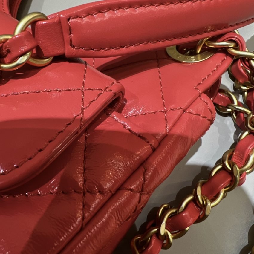 20221228_i1672232187_9486_6 Replica CHANEL Hobo Small Red - 图片 7