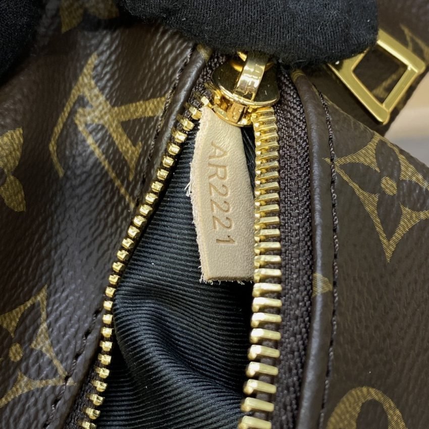 20230313_a1678682200029_1317 Replica Louis Vuitton Bumbag Waist Brown Canvas - 图片 9