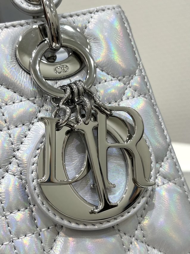 20230516_i1684226320_4588_1-1 Replica Lady Dior Silver ABC - 图片 7