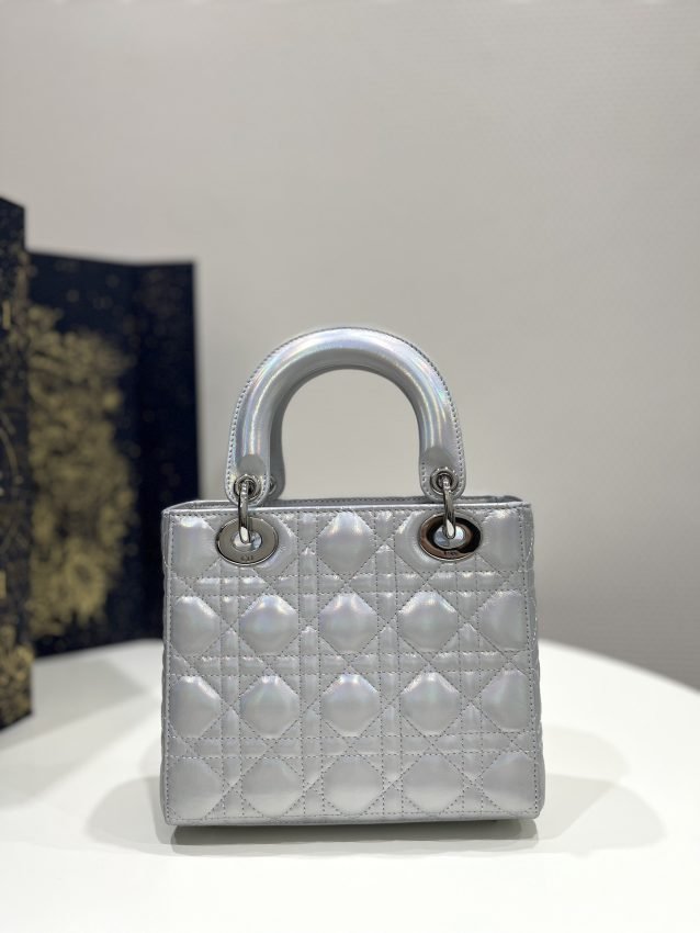 20230516_i1684226320_5929_6-1 Replica Lady Dior Silver ABC - 图片 8