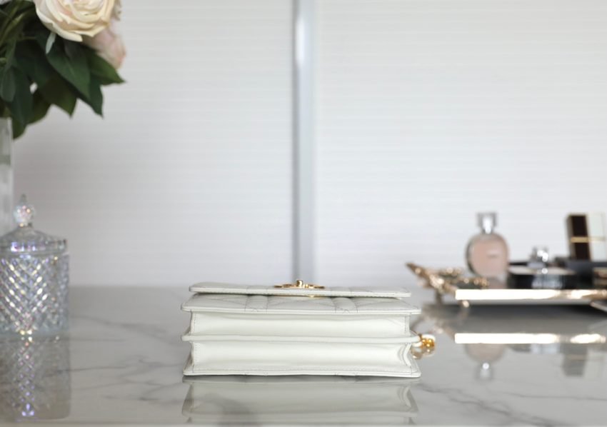 20230527_i1685164745_8062_6 Replica Dior Miss Caro White - 图片 7