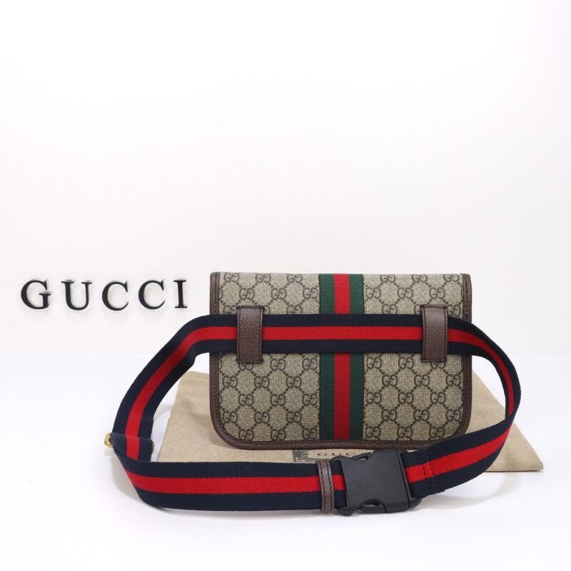 20230529_i1685317203_2311_2 Replica Gucci Ophidia GG Small Waist Web - 图片 2
