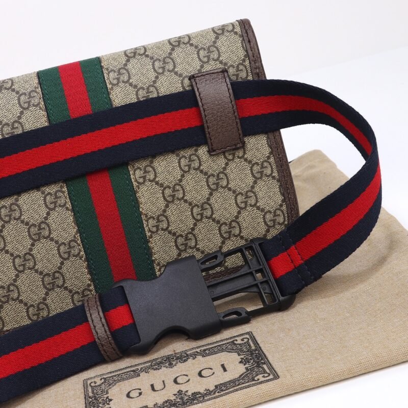 20230529_i1685317203_4936_5 Replica Gucci Ophidia GG Small Waist Web - 图片 6