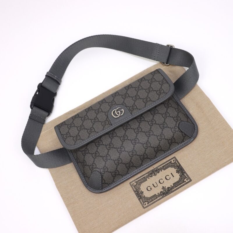 20230529_i1685317220_4476_6 Replica Gucci Ophidia GG Small Waist Grey - 图片 4
