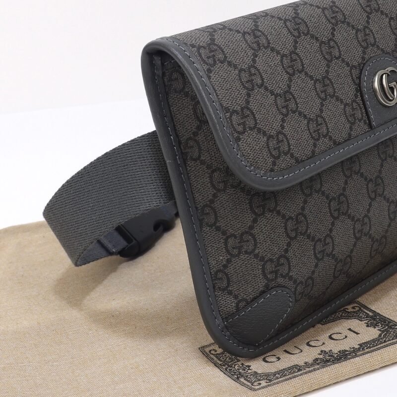 20230529_i1685317220_6658_4 Replica Gucci Ophidia GG Small Waist Grey - 图片 5
