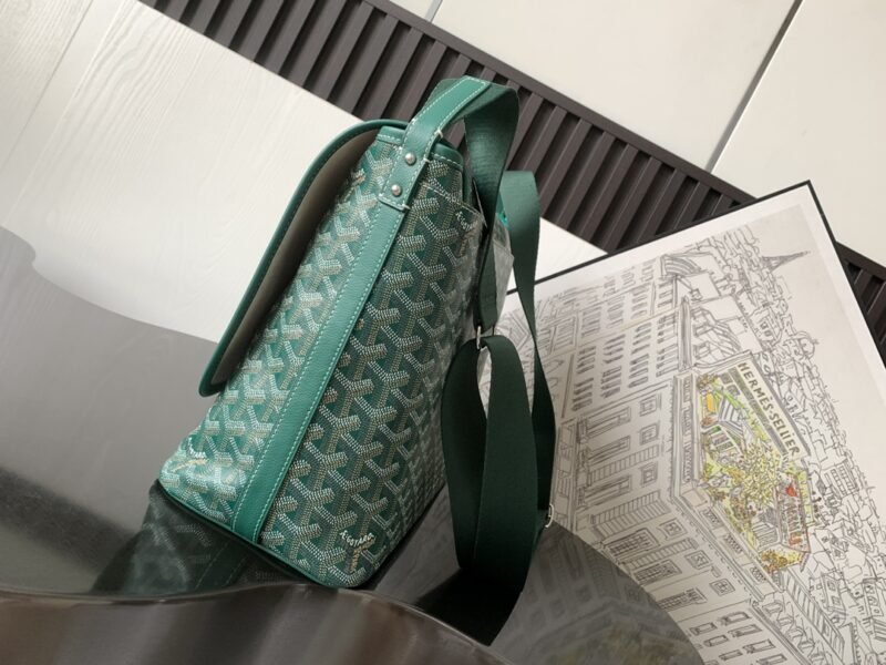 20230624_i1687620489_667_1 Replica Goyard Capetien Bag Green - 图片 2