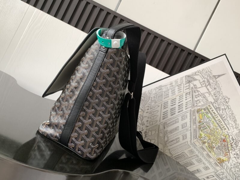 20230624_i1687620528_3548_1 Replica Goyard Capetien Bag Black - 图片 3