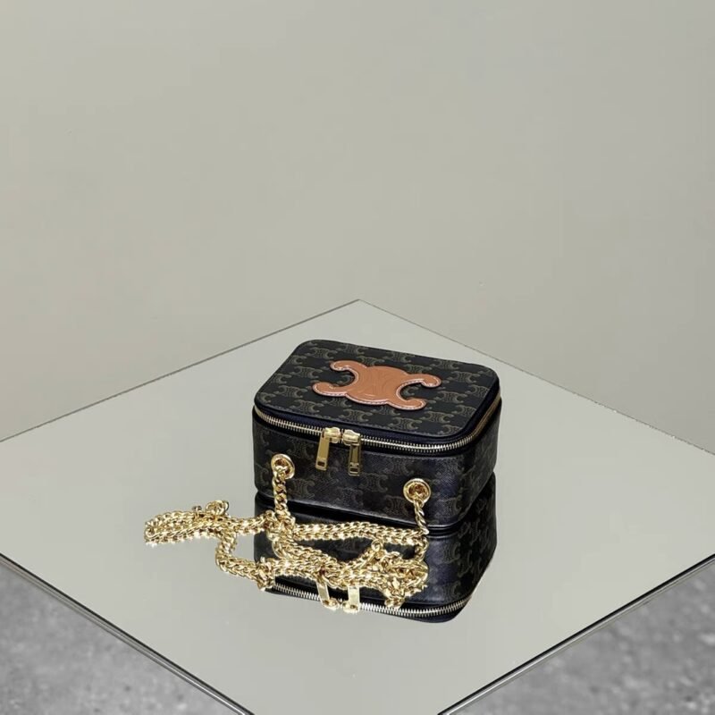 a6-66 Replica Celine Triomphe Box on Chain - 图片 6