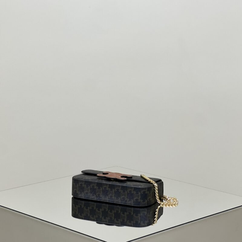 aa4-1 Replica Celine Triomphe Underarm Bag - 图片 4
