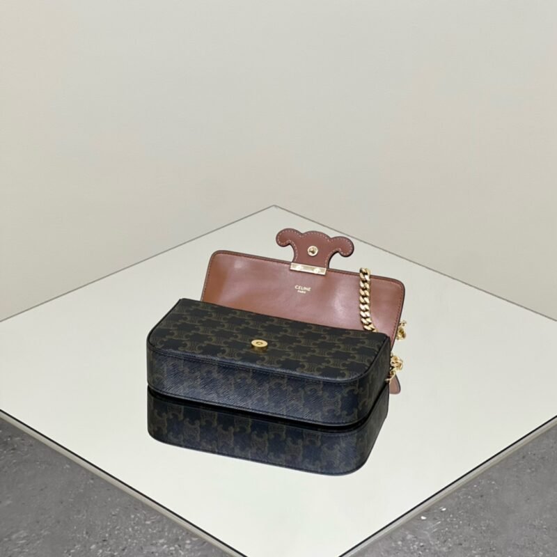 aa6-1 Replica Celine Triomphe Underarm Bag - 图片 6