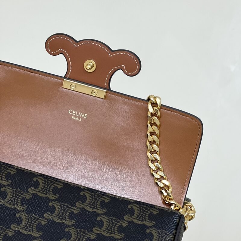 aa8-1 Replica Celine Triomphe Underarm Bag - 图片 2