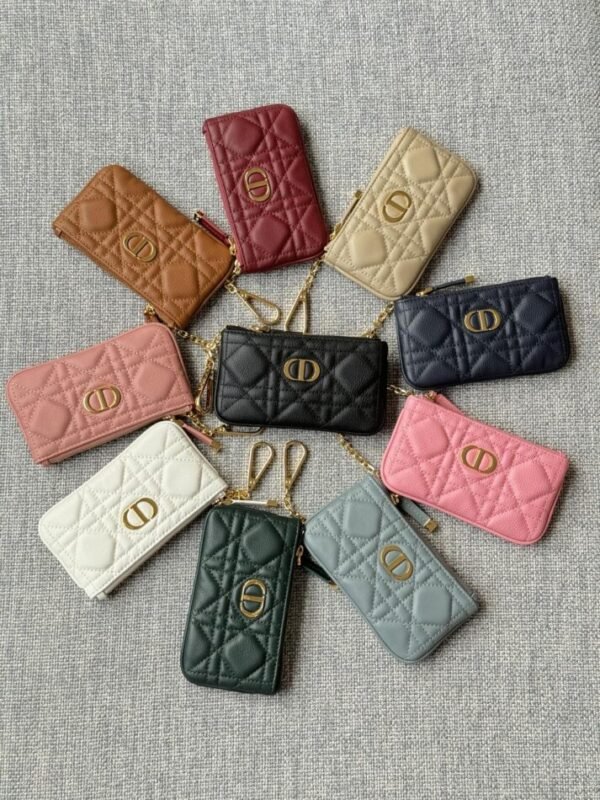 i1719061230_6485_0-1 Replica Dior Caro Myrte Zipped