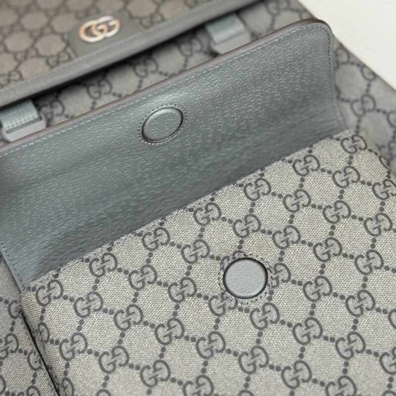 img_102e1c0f_20240618_i1718691546_6512_2 Replica Gucci Large Ophidia Backpack Grey - 图片 6
