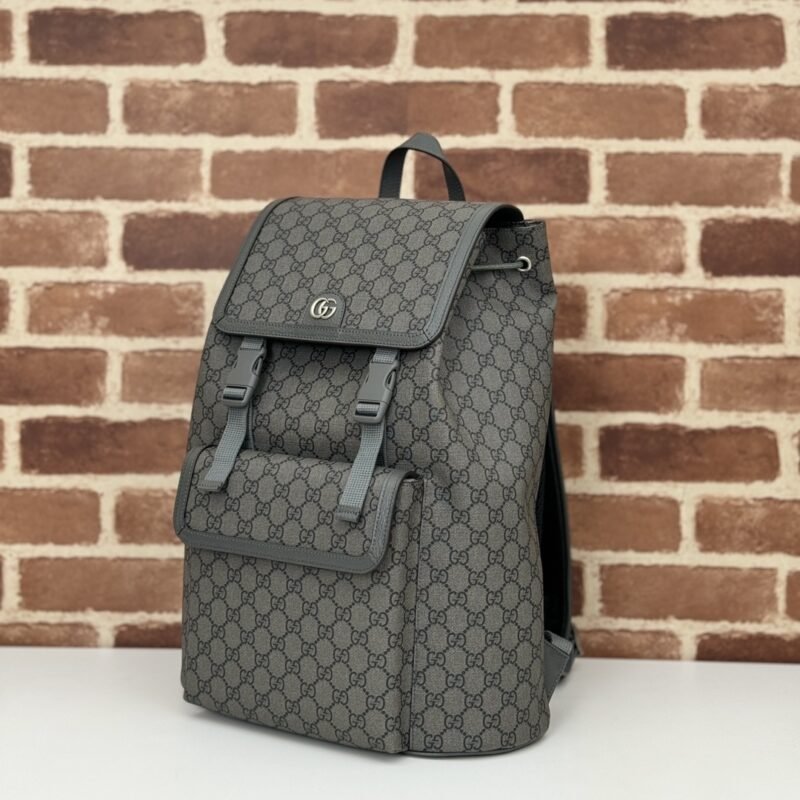 img_102e1c0f_20240618_i1718691546_6914_6 Replica Gucci Large Ophidia Backpack Grey - 图片 7