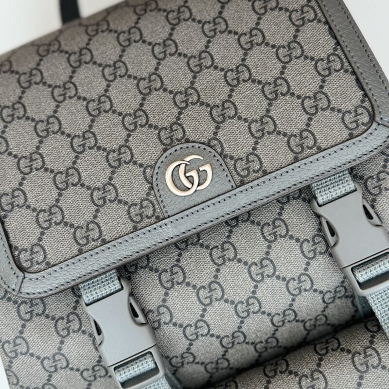 img_102e1c0f_20240618_i1718691546_8251_7 Replica Gucci Large Ophidia Backpack Grey - 图片 9