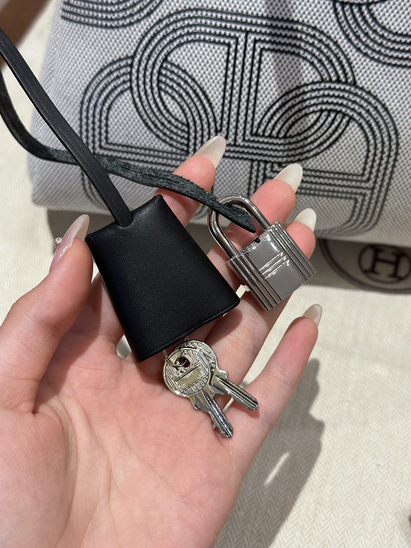 img_755f7c0e_20231116_i1700115665_5611_0 Replica Hermes Herbag 31cm Circuit Black - 图片 17