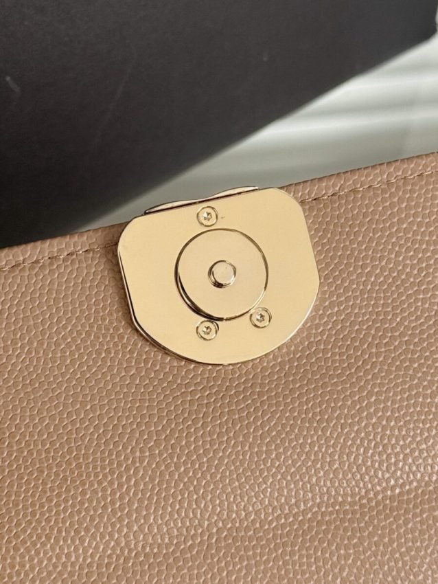 wsxcWeb_6e471929_o_1hrg9721il1b1m9fmkj1up11u5l8.jpeg Replica CHANEL 23P Kelly Handle Milk Tea - 图片 5