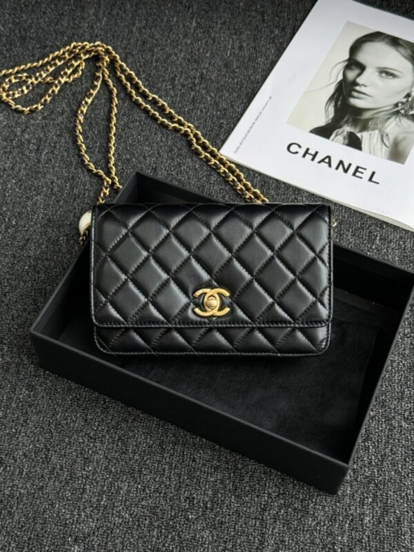 wsxcWeb_6e471929_o_1hundo6gk2d21r4r1ehk1o87t0s0.jpeg Replica CHANEL 24s Double Pearl Woc Black
